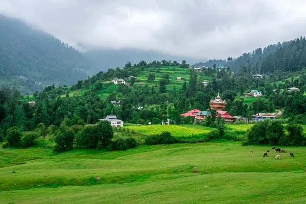 delhi to tirthan valley cabs